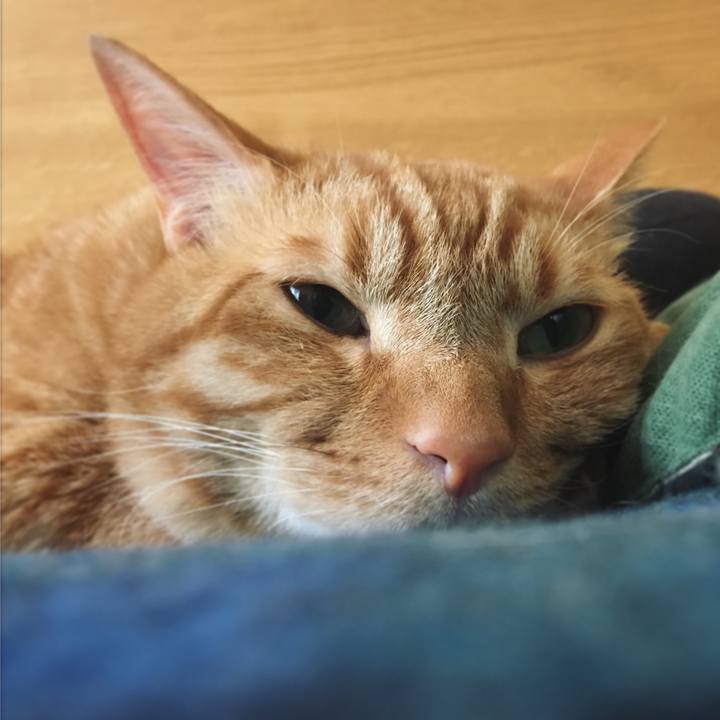 7454aae3 9251 4ca8 ae29 7da158f89b8a 1591092850860