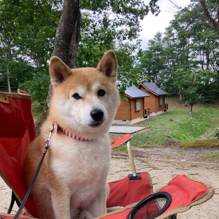 7454c7c1 652b 4723 aba5 add8b37d85bb 1752129985413