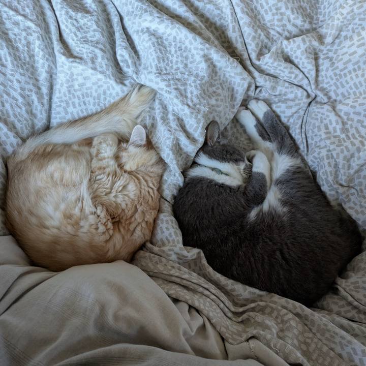 745518df 03dd 46e7 9bbe dff32a4c0352 1733099108316