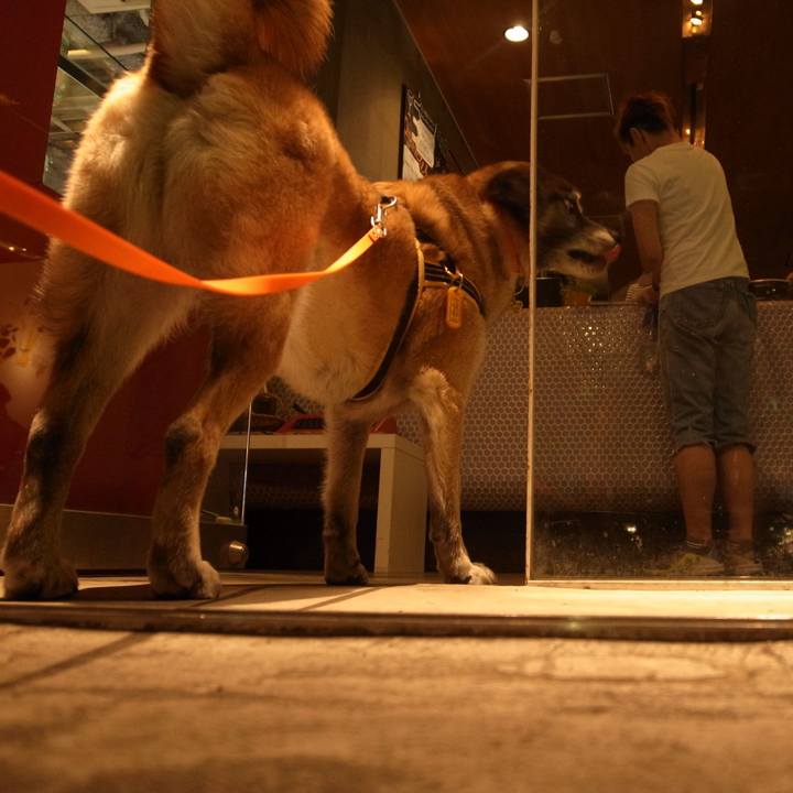 74554c6b 6f10 46b6 8545 d4d6a27bf58b 1587338998248