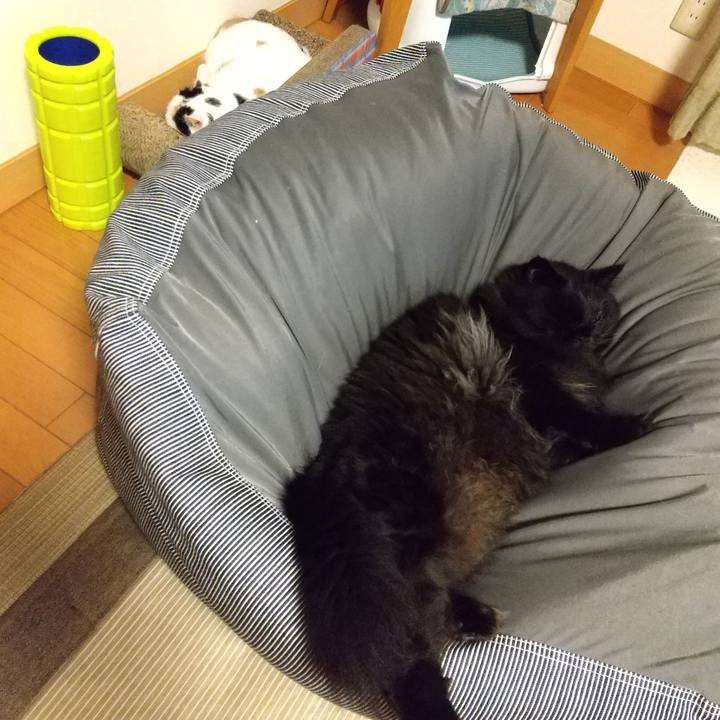 74555749 fd9b 4390 b467 2bffffd971a7 1595336529946