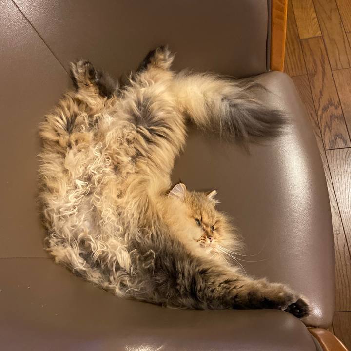 745561a7 7484 4fd6 bc84 a13b31c158ae 1574032550754