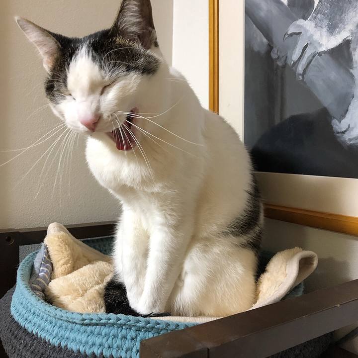 7455780a 19e2 4c5c b7da cfc6351112e5 1640961325588