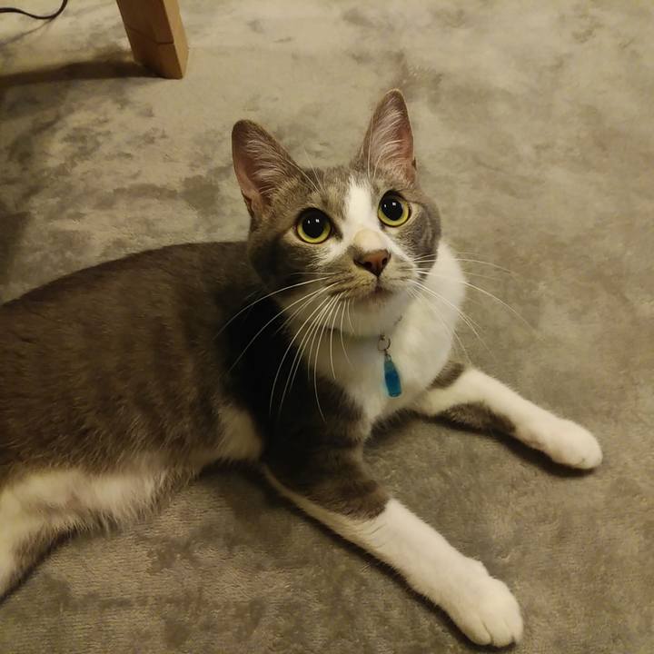 74559226 bf59 44a7 81c9 4064e40c6b95 1592660071957