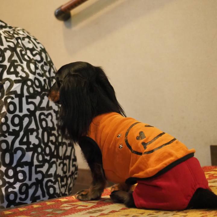 7455cdfb 79ca 4b2c a735 3cdf6ea3a46e 1633142359325