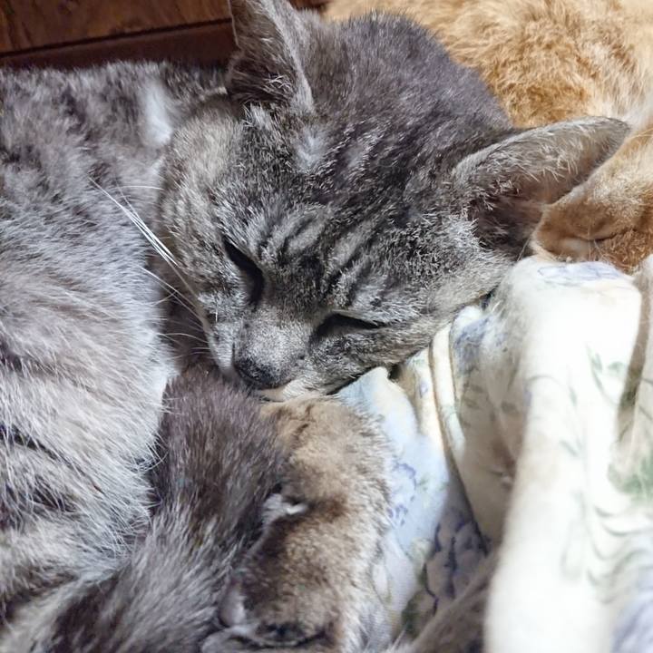 7455eea8 a352 4f4a a345 b224e4810e90 1589890229395