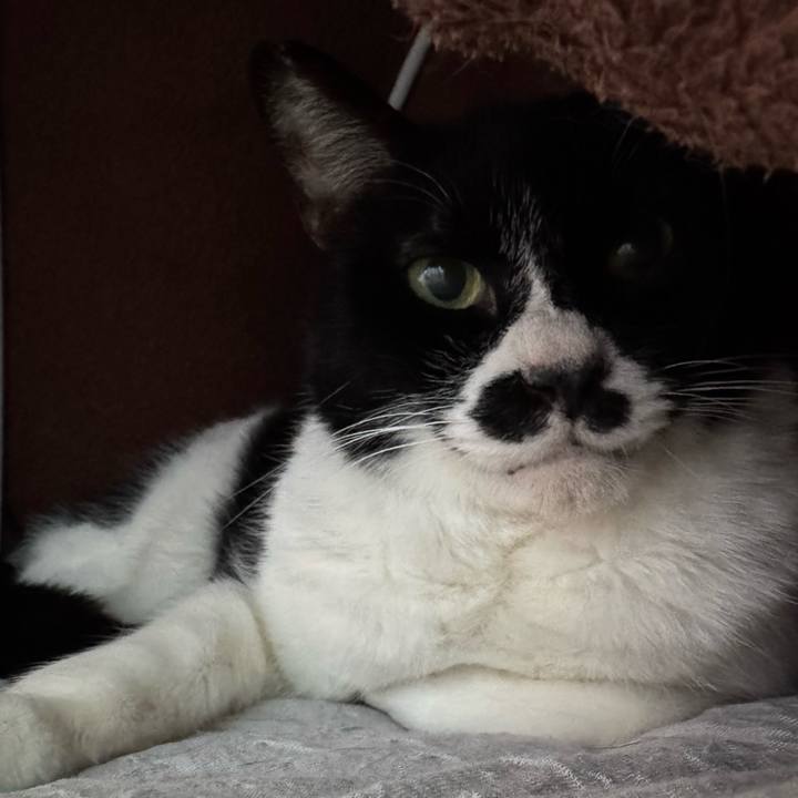 745623bf e6fc 43ae abe4 87e4d32df524 1738109250233