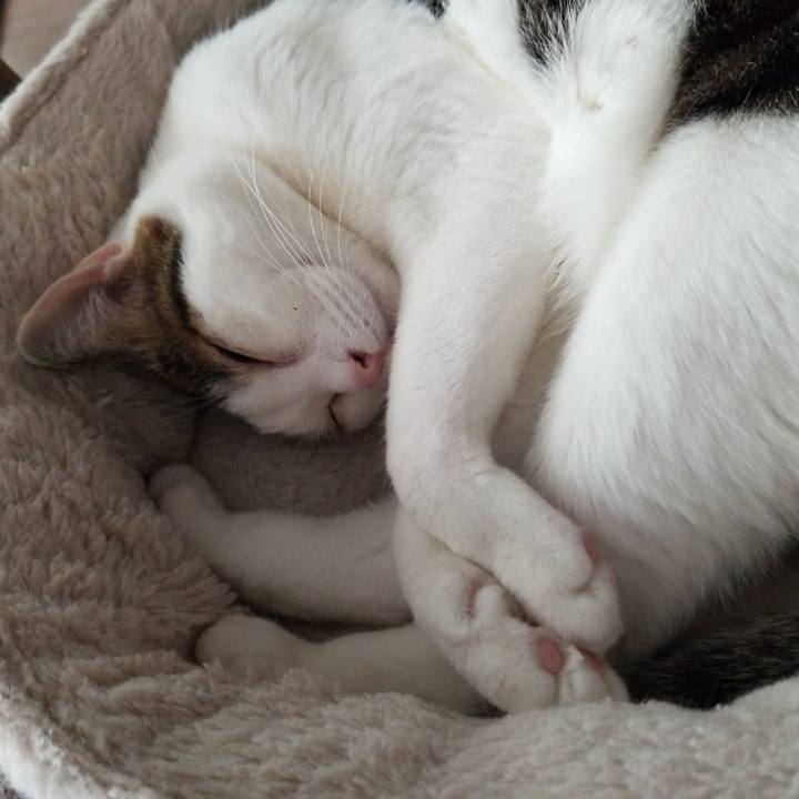 74563cef d981 4a15 b8c0 2af36f739d9c 1586295751516