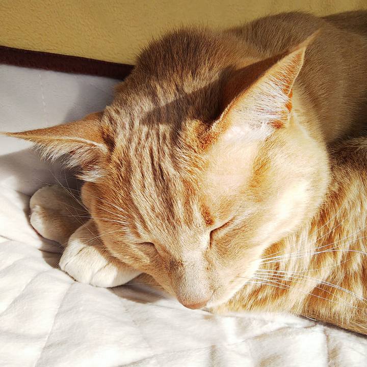 74564ee4 13e2 423c bda6 2c863768e61f 1617230448768