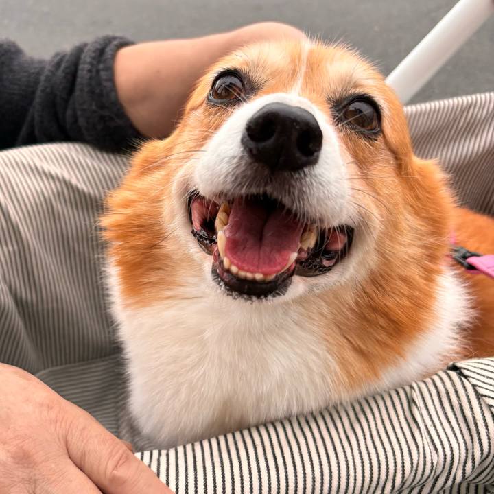 745653da 9620 4b09 a41a 62c421a8cd8f 1730169837544