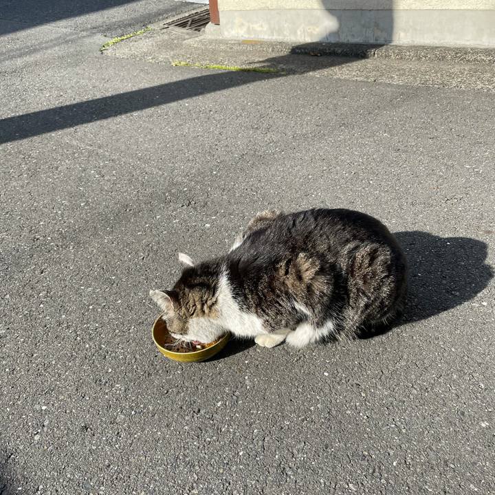 74567db2 7159 4c6e bc17 46463a531b16 1619350195602