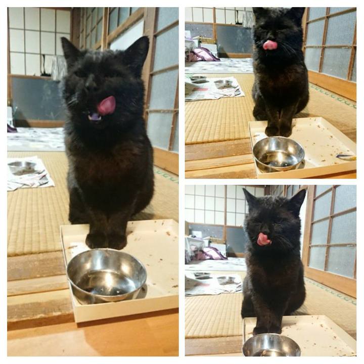 74567f83 9dae 4553 8d5a 8773d4dc1320 1619261933813