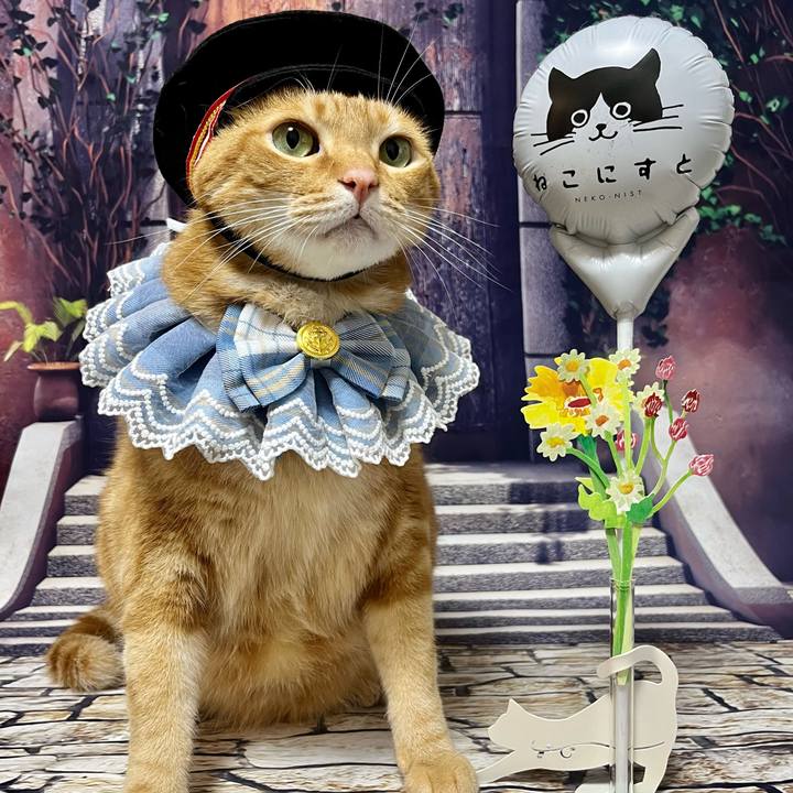 74568864 6ddd 4b92 b366 5c5bd8bfb89b 1691192821030