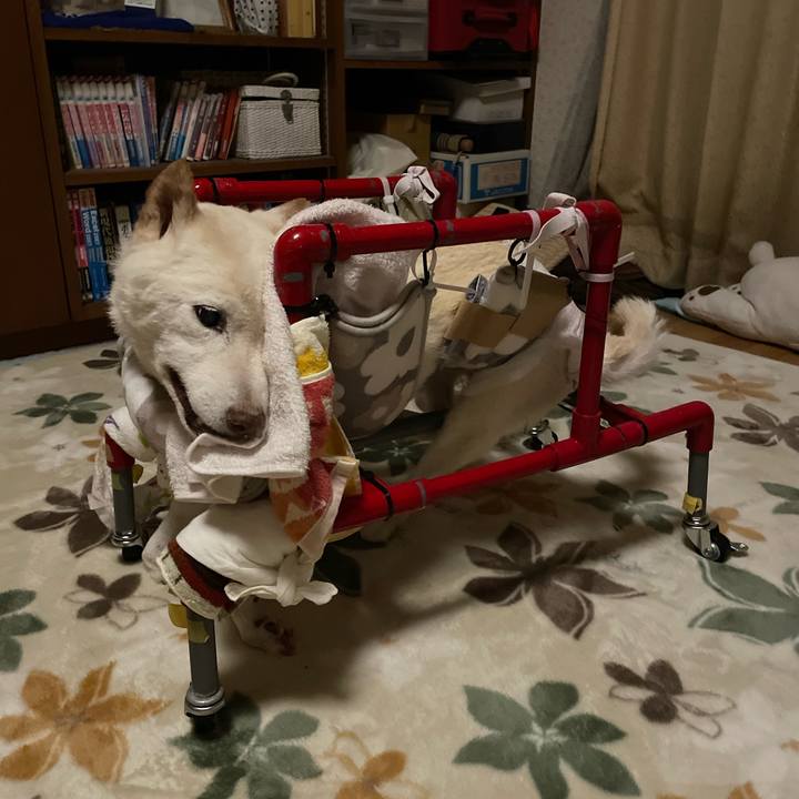 7456c933 750e 422b b264 cdb0d7456498 1672769673074