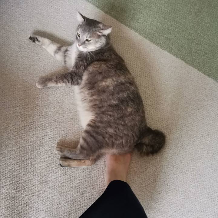 7456f8a9 da1d 4ef6 99ac 047f1abd93f5 1599191237181