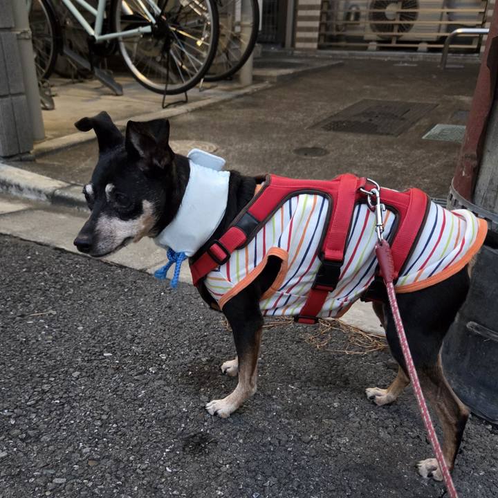 745711ad b19e 4931 baa5 973046da7001 1756326782503