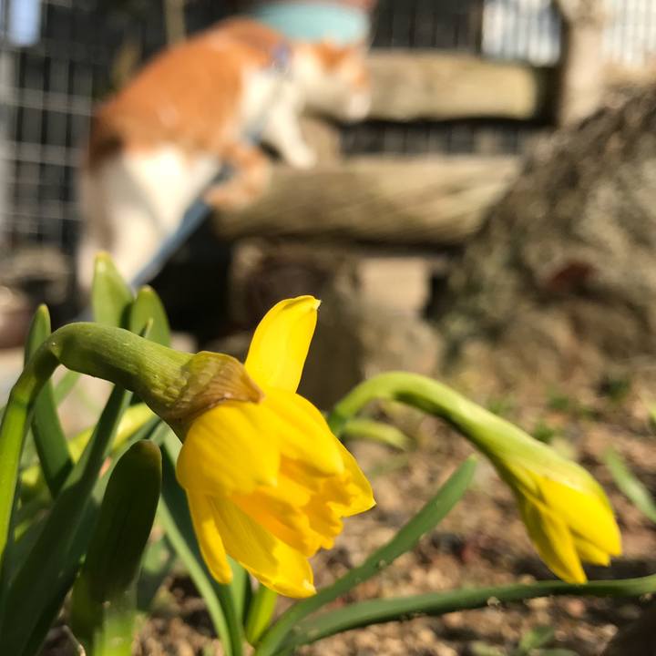 745712bd 515d 45ba af55 d6077d7cf35a 1520921246276