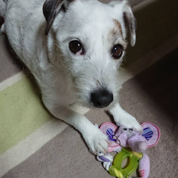 7457b404 0b1b 4ca8 83a8 219f980eeb49 1521156783722