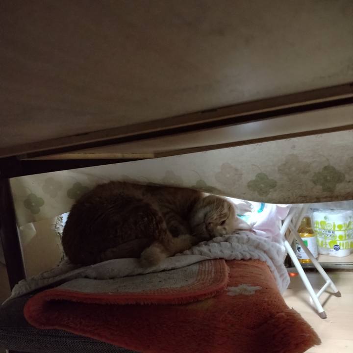 7457f01e fa1b 40d1 b12a 257fc5ca3786 1697236013603