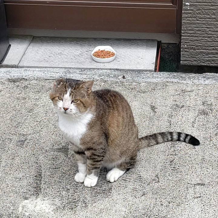 74582d77 aa9f 4154 afd1 30f5bd5bdcd2 1667816459775