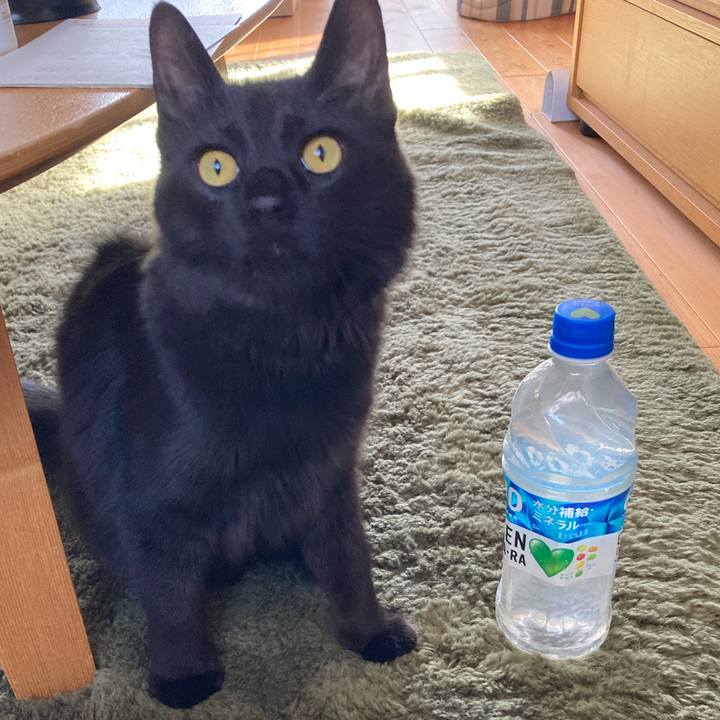 74583b32 a8e2 4ebf a6f4 80d70d7eb57f 1714295740511