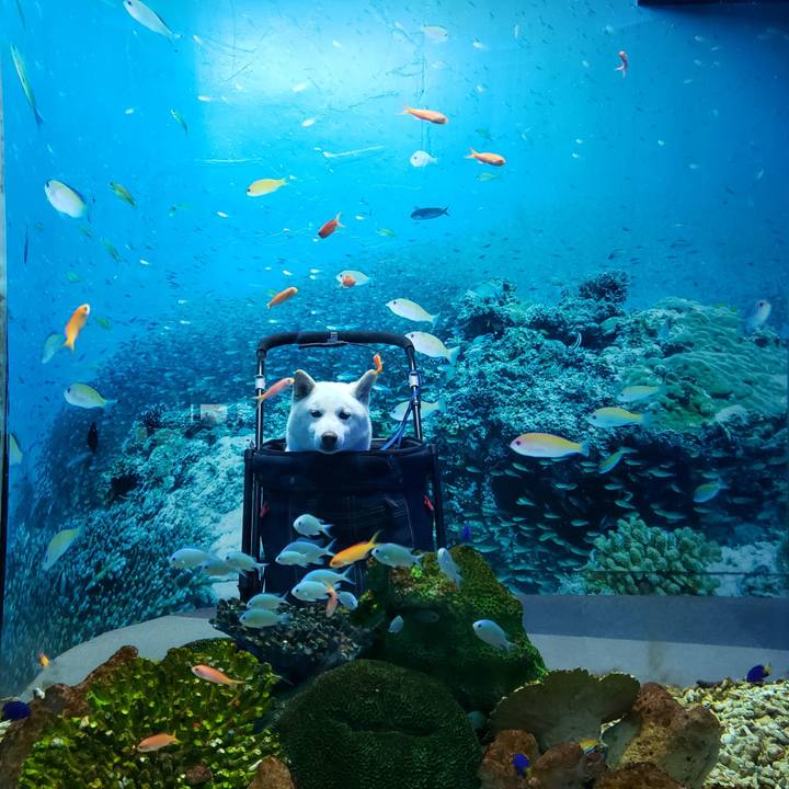 74583c08 0bcc 4d0d 8d01 2bd8f65d2f4d 1551622757161