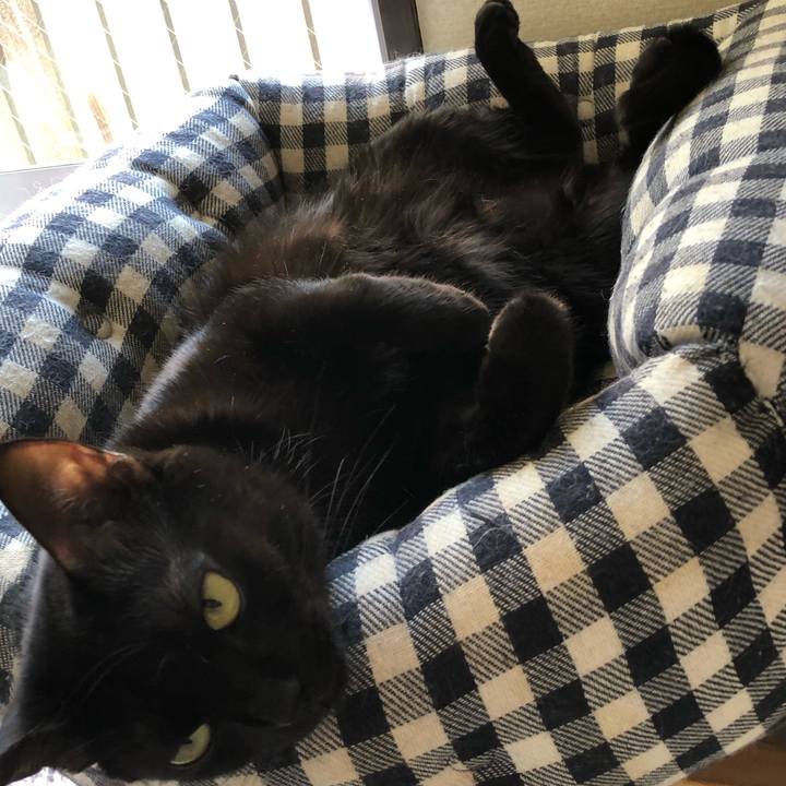 745878ff 6136 4e57 93dc 7f52712ccd68 1543025472695