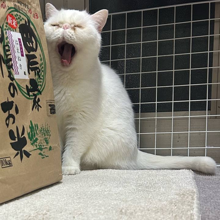 74588bd3 0524 474d 8728 cb7c15cf3dba 1735305292617