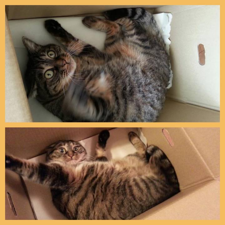 7458a71e 310a 472e 9dc7 6190a94a583f 1768948965800