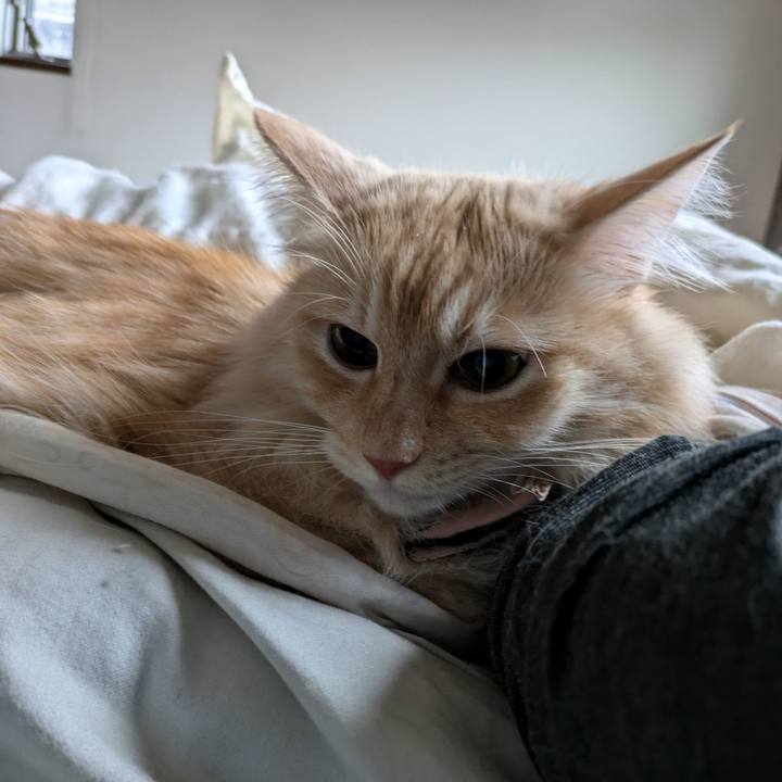 7458ad26 2464 4258 a8b5 eebf6c7b62d7 1728430000464