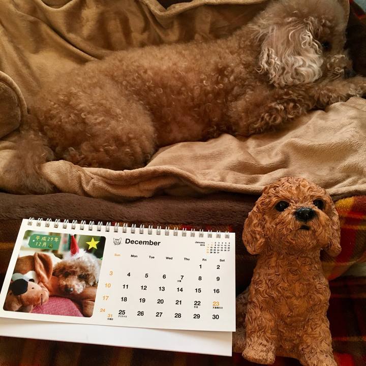 7458e389 da7b 4c73 8f2b 503b1c1a263d 1512708582594