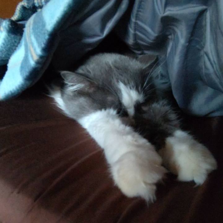 7458f647 1106 4709 9442 7acaae563ce5 1647741409050