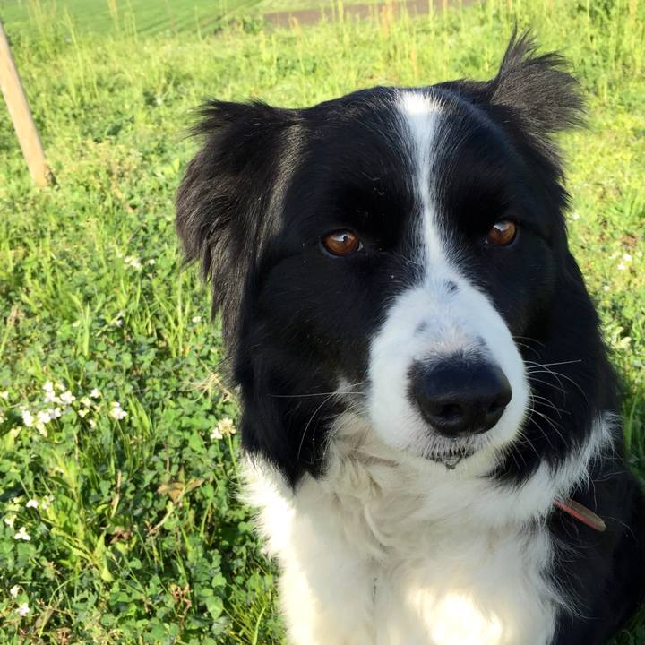 745908de 185e 41f3 95e4 9d9b47173305 1523487109456