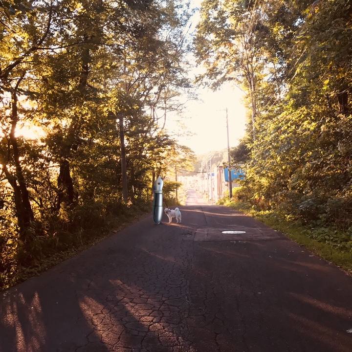 74593341 41e7 460f 84e7 affef58b34aa 1537439440665