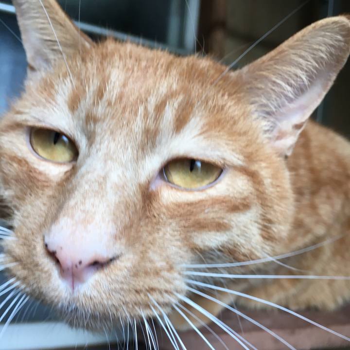 7459495d e8a0 4b04 93b0 d011951588c8 1552386769609