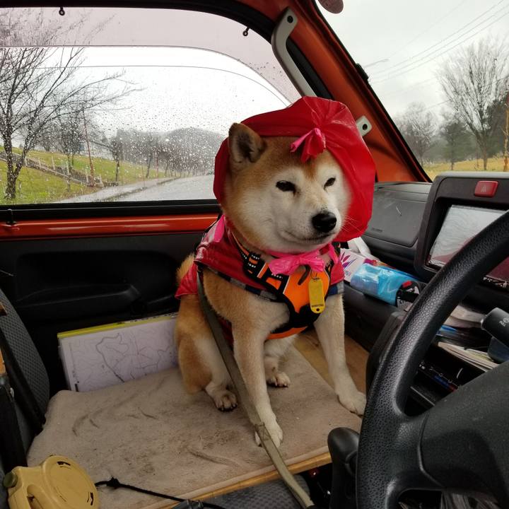 7459773d 00df 45a3 bd18 58eec4c67f10 1638852842268