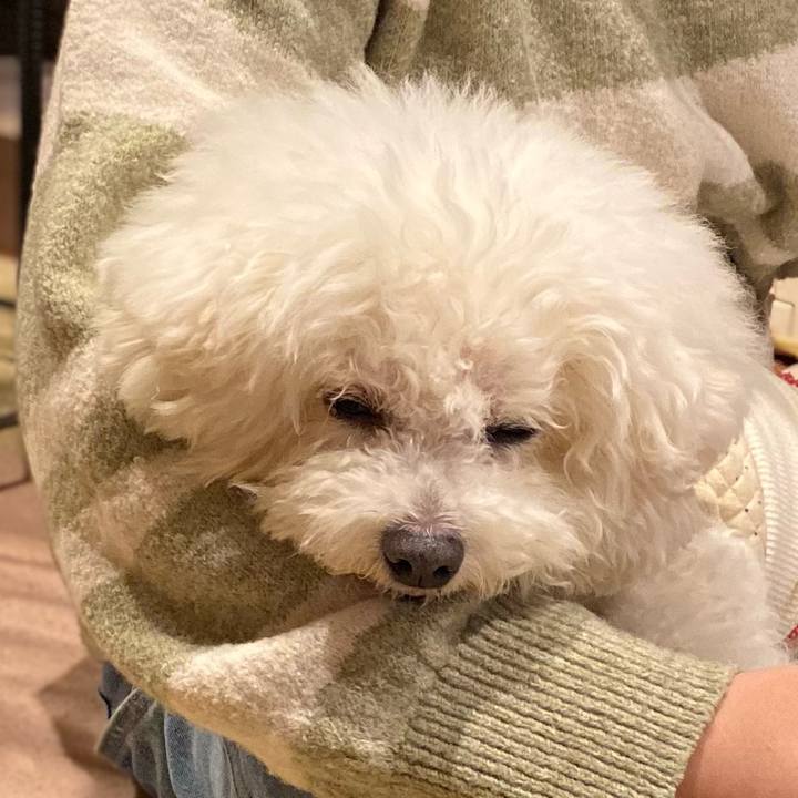 7459798d 90a6 42fa 8102 27447c0a74da 1742119209589