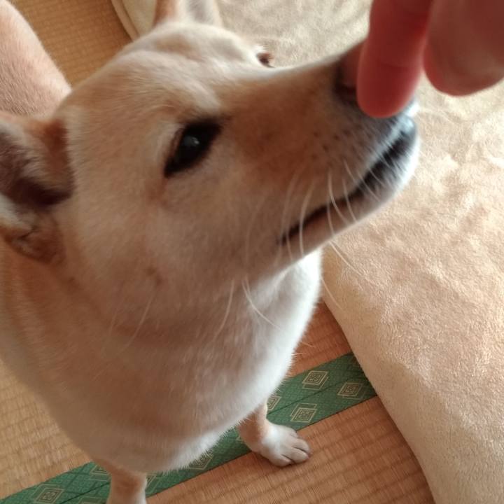 7459804d 21de 42cb adaf 8b84a55f4257 1550273148455