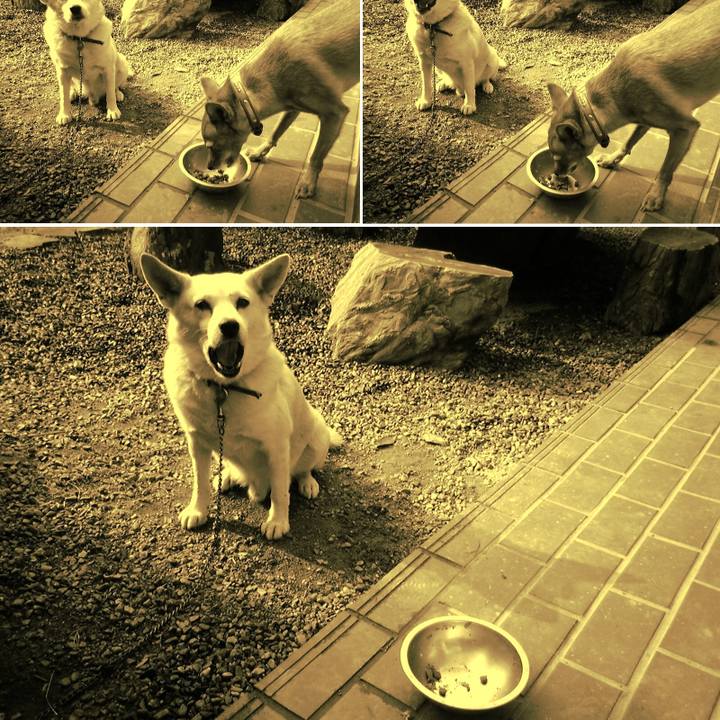 7459821f a2a0 4f9e a968 628d20a44a3d 1514040488964