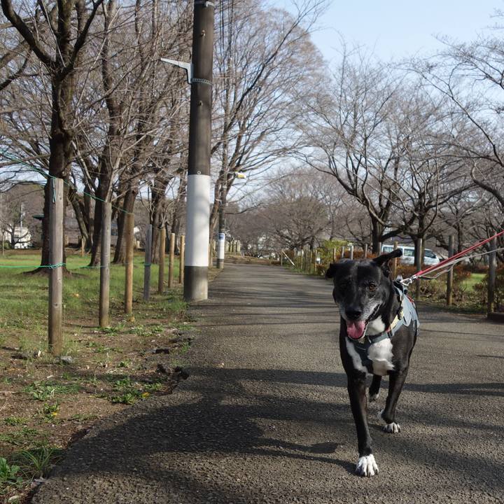 745993c2 fd4d 4563 840f 6e8789b921f6 1742863243241