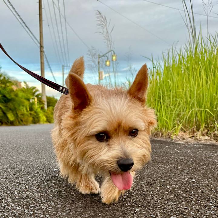 7459cf07 6a06 40b3 af9e 1d006416786b 1752957589024