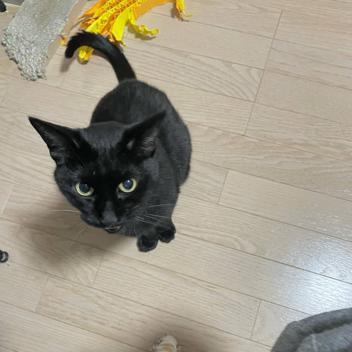 745a0137 2f05 4fc2 a45e 4268aa472a43 1703344006411