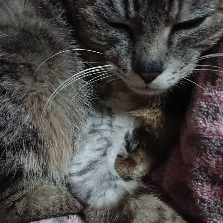 745a281f e915 43b9 a8ab 24b7c53797d2 1590143338844