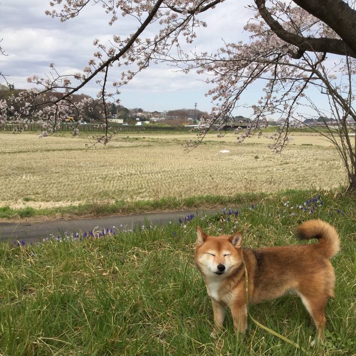 745a2e70 206a 4e0f bd30 d97820de3b45 1584937534061