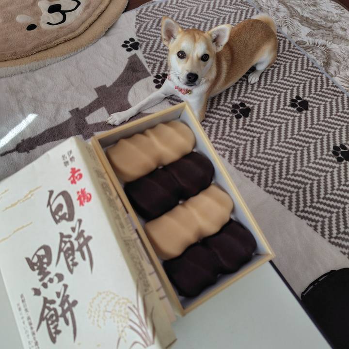 745a673f 8801 427c 8fd5 e0d6d74e0d31 1762408108356