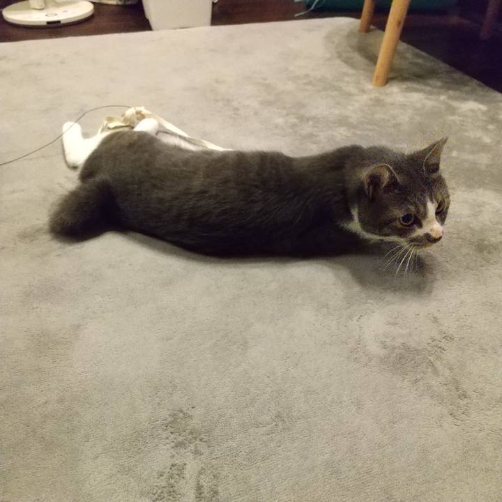 745a961e befd 474d b807 1edf34101db3 1601905091360