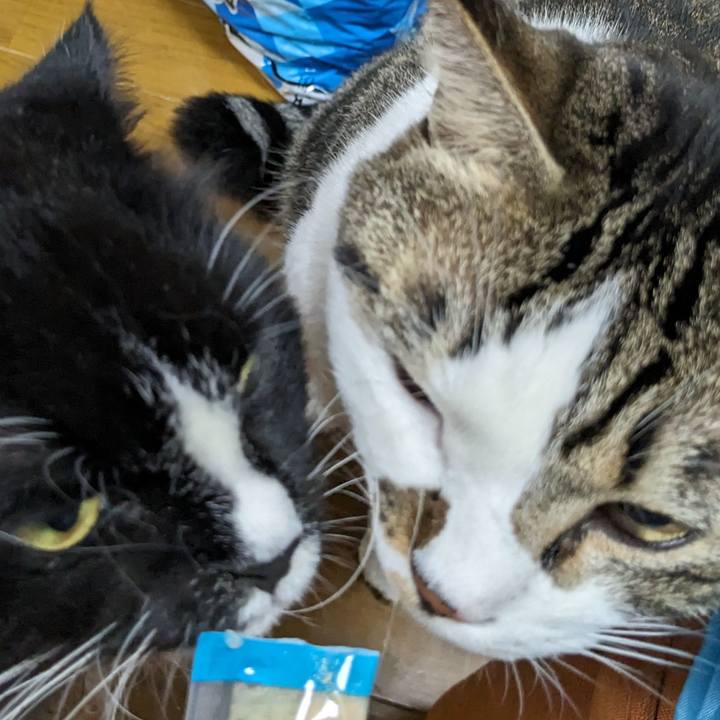 745ab05e a6cd 4b0c a776 2c3d4a3a68c5 1694949716219