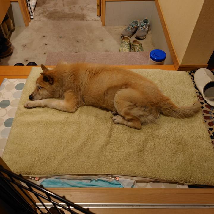 745ab243 ed8d 4596 93f5 b08d906be929 1618924531504