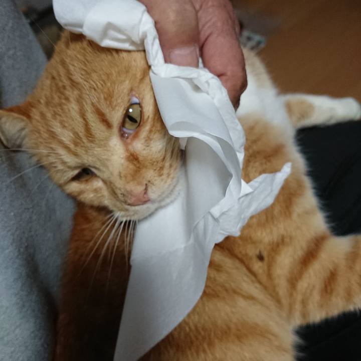 745afdcc 1cb6 47dd 9d2f f01d3a13a1a6 1604814322643