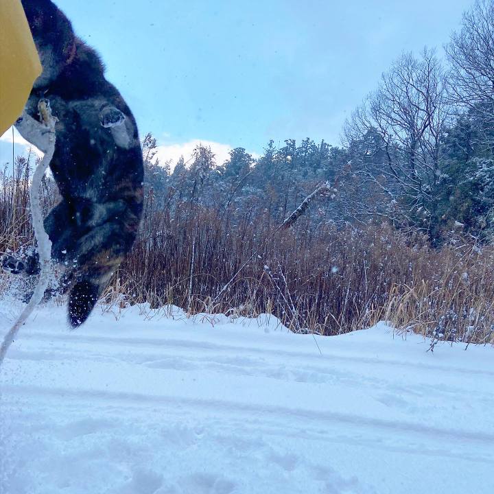 745b05e0 3955 48ec b0ca 88122e05eb6d 1609465815432